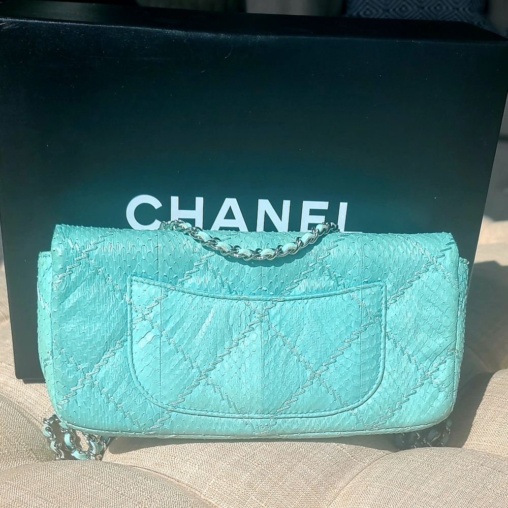 Chanel Python Classic Flap Bag - image 5